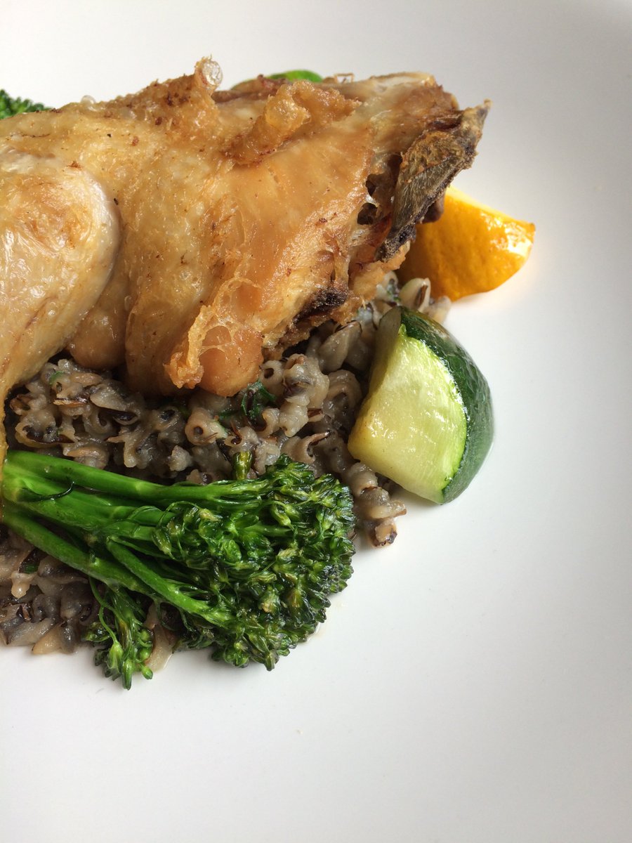 TanninKC's tweet photo. 8.4.16 Lunch: Chicken confit, wild rice pilaf, broccolini, #goodacrefarms zucchini. 1/2 glasses of wine until 4pm! https://t.co/QkUmr15SWF