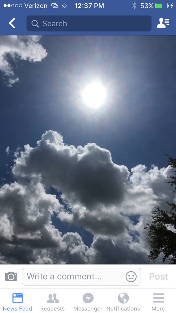 RickCopello's tweet image. Another day in paradise  " check it out " (👁)(👁)