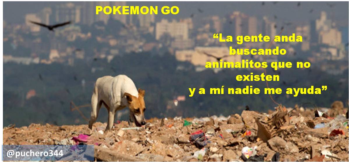 puchero344's tweet photo. #PokemonGOvenezuela Hay uno cerca de ti. https://t.co/u3bNqWD3oH