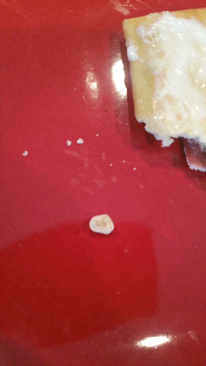 Mrtonyterry's tweet image. When did #Pillsbury start putting human teeth in #toasterstrudel ?