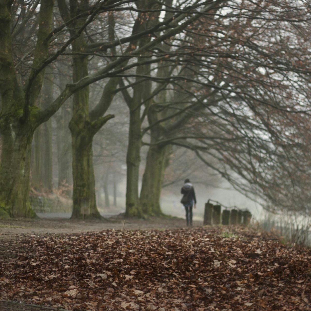 انت منذ الان غيرك

هل كان علينا أن نسقط من عُلُوّ شاهق، ونرى دمنا على أيدينا... لنُدْرك أننا لسنا ملائكة.؟؟؟؟؟؟