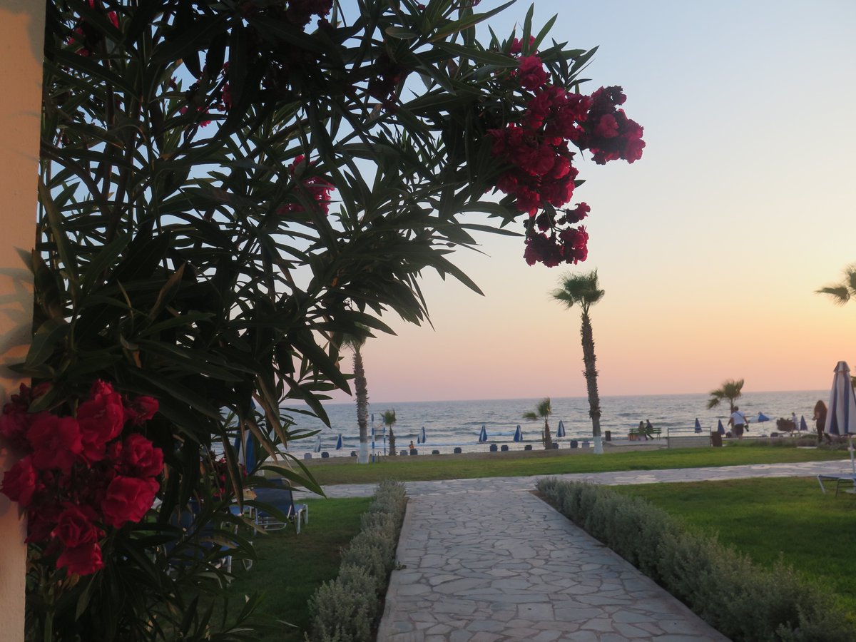 KEFALOSCYPRUS's tweet photo. @KEFALOSCYPRUS #waytothebeach #beautifulgardens #beachfront #sunset https://t.co/8vN6ITwbaI