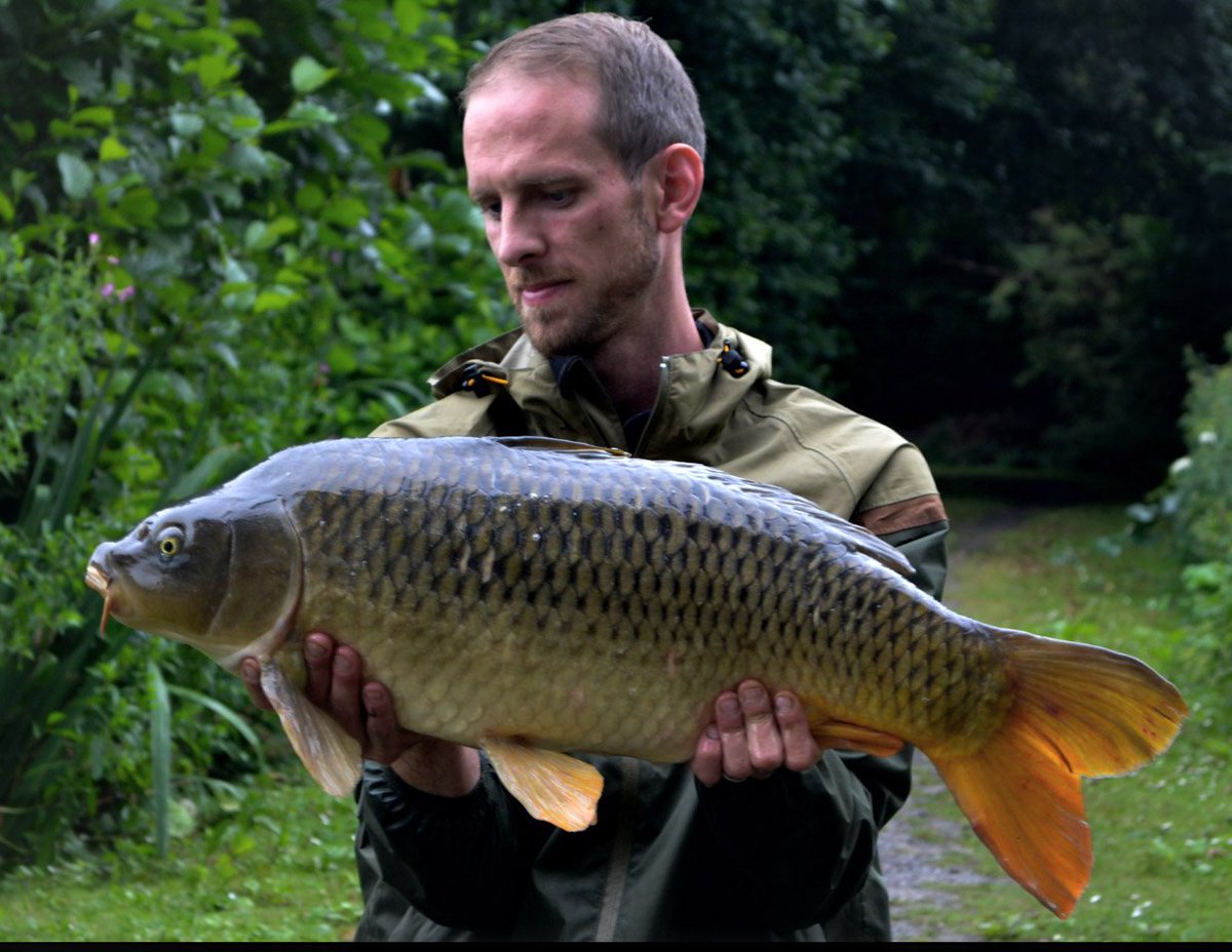 DusterBaits's tweet photo. Media man Marin haveing success on a resent evening session. #matrix @TotalCarpMag @Carpwatch @AdvancedCarpMag https://t.co/ipi8awgFvO