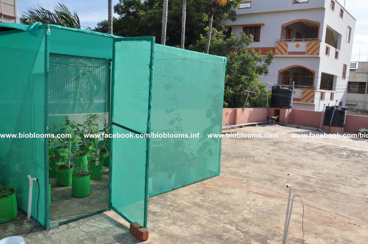 Bioblooms_Agro's tweet photo. #shadenethouse #greenhouse by #bioblooms #organicgarden  #growvegetables #terracegarden - https://t.co/ydg4B8t0Js https://t.co/xOd01eEQ4L