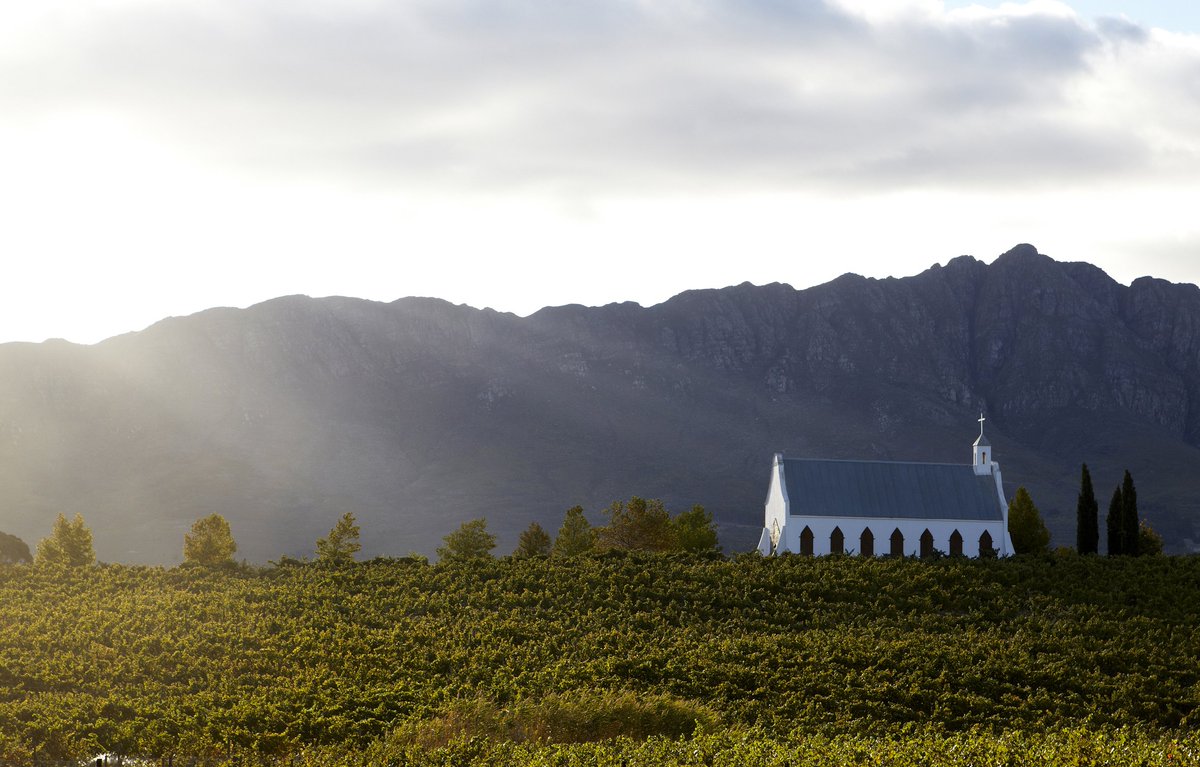 #DestinationWedding South Africa style! Give your guests the experience of a lifetime ow.ly/szAh302V627