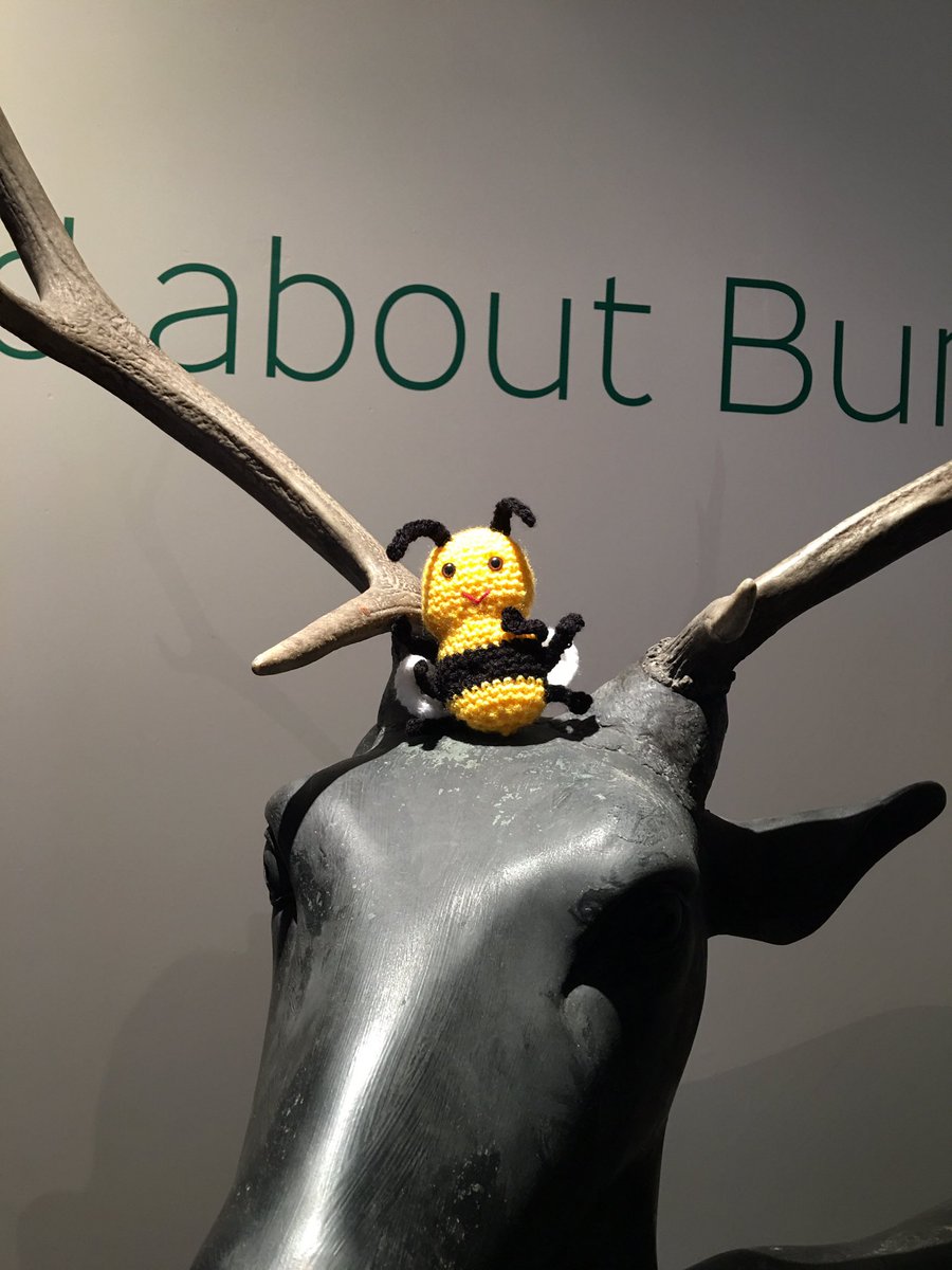 Bartlebee Bumble (@bartlebeebumble) on Twitter photo Had a great buzz around <a href="/towneleyhall/">Towneley Hall</a> with <a href="/PioneersMuseum/">Pioneers Of Modern Science</a> exploring all the nooks and crannies๐ #beelife Had a great buzz around <a href="/towneleyhall/">Towneley Hall</a> with <a href="/PioneersMuseum/">Pioneers Of Modern Science</a> exploring all the nooks and crannies๐ #beelife