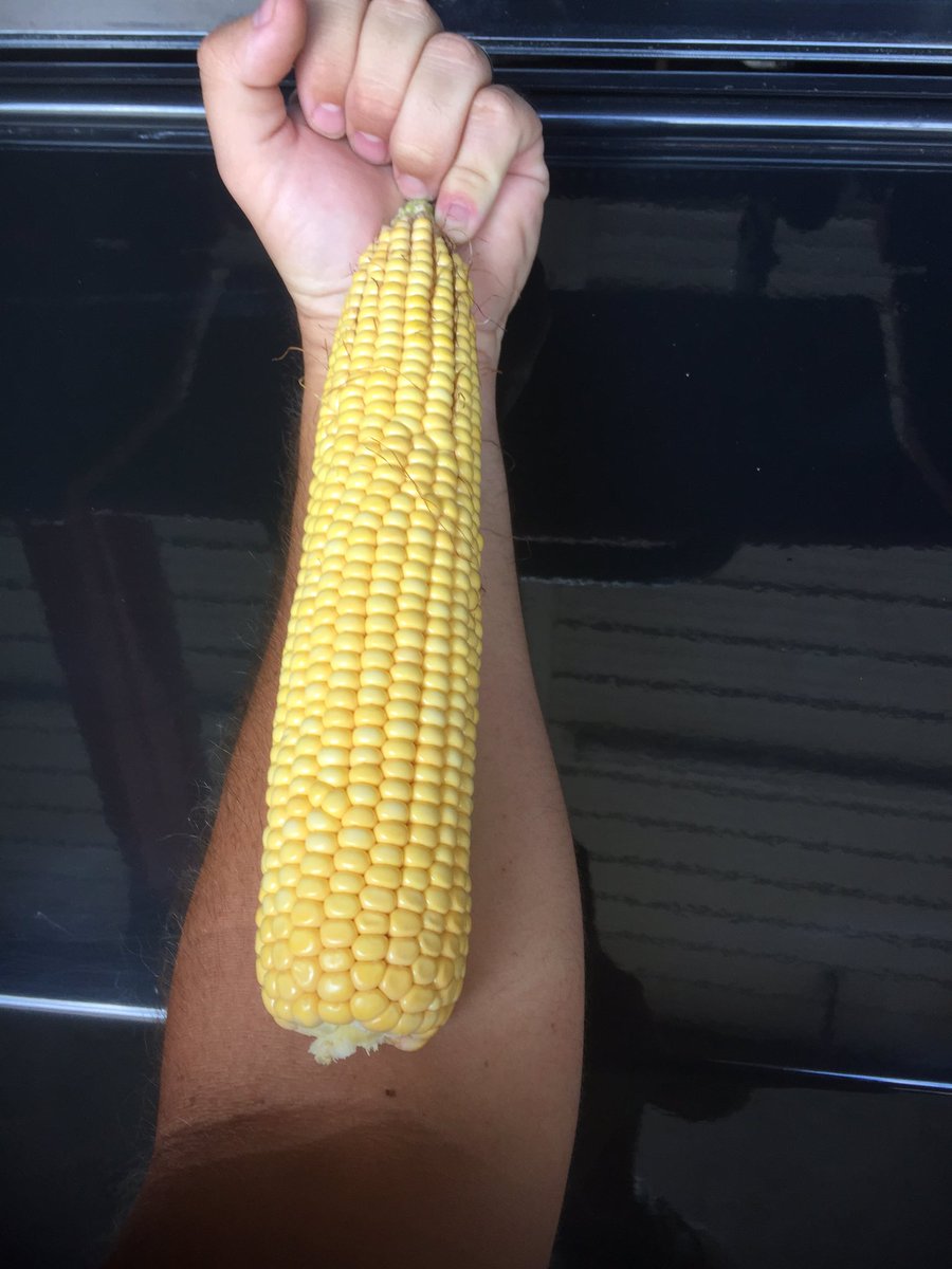 roeseed's tweet image. @ChannelSeed 217-92 looking great in Maryland