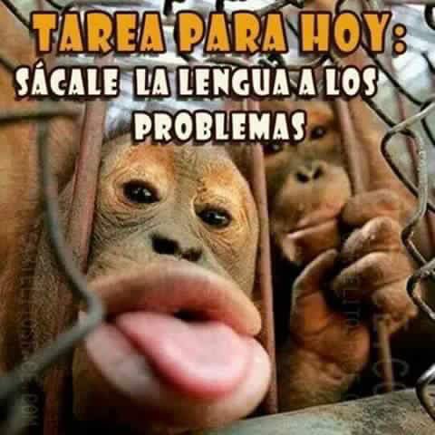 ElRanking_'s tweet photo. Buenos días 😜 https://t.co/Ze3Lq3Ky6p