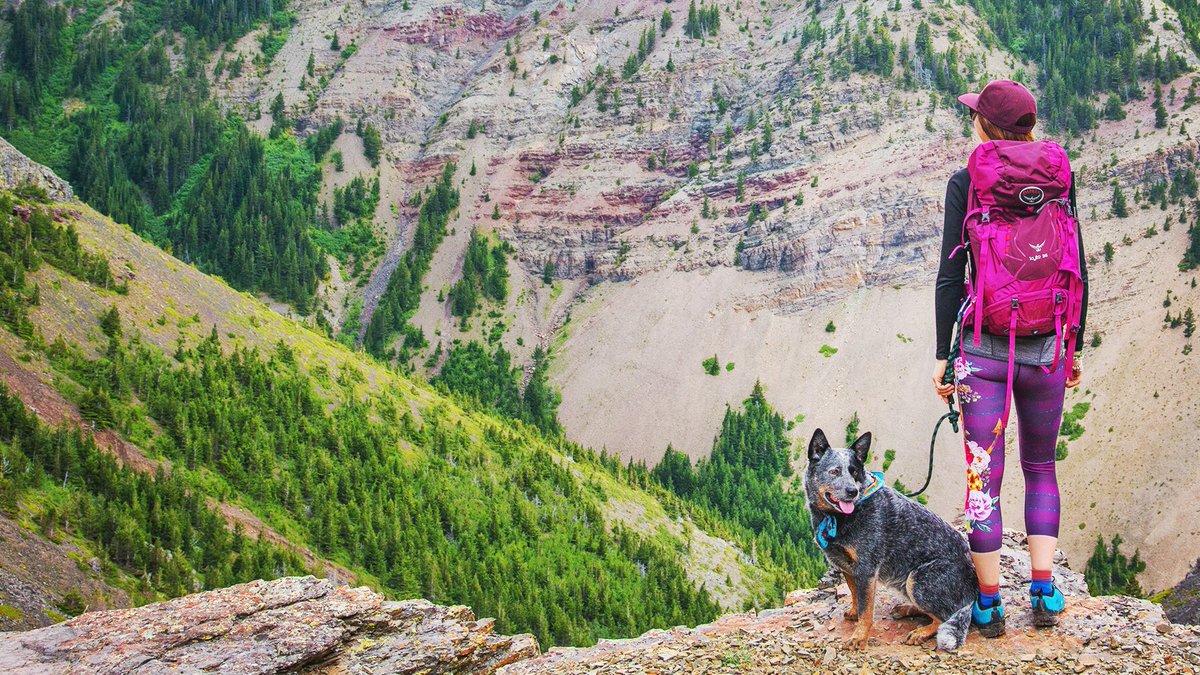 I'm stopping by <a href="/GlobalCalgary/">Global Calgary</a> this morning to chat about hiking in Alberta check it out! #explorealberta