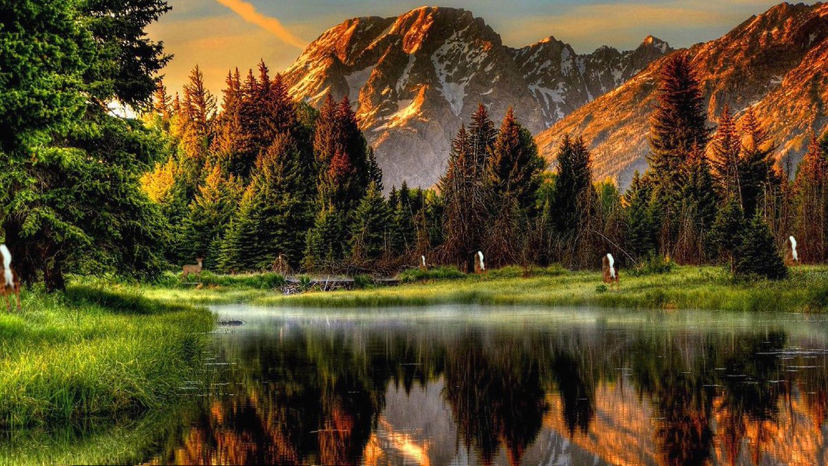 VelOutdoors's tweet photo. TAKE A SHOT! How Many Deer?
WIN "30% OFF + FREE SHIPPING"
Submit Answer Here: 
https://t.co/0tls543LYf https://t.co/CnYA0xcDzj