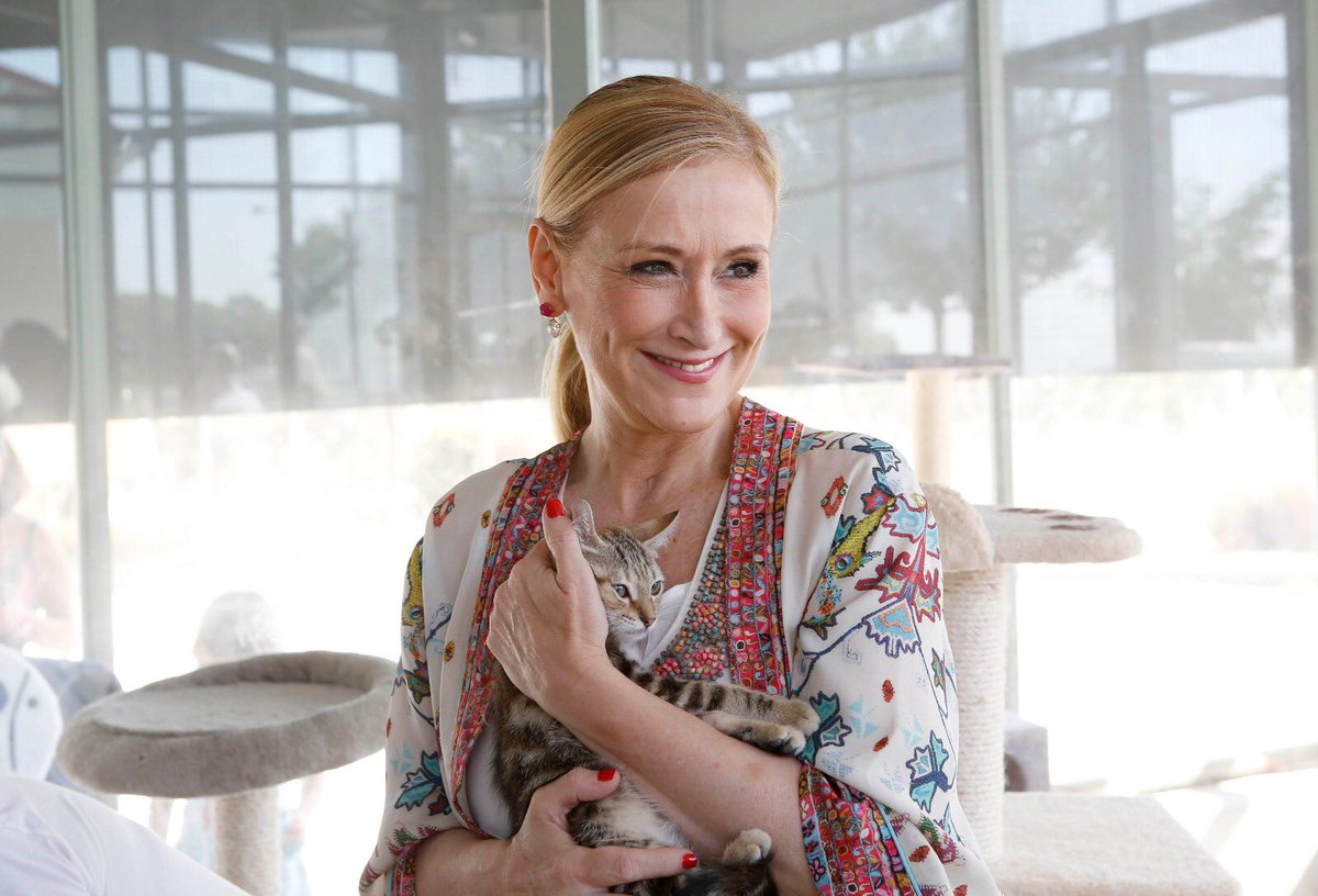 Cristina Cifuentes tweet media