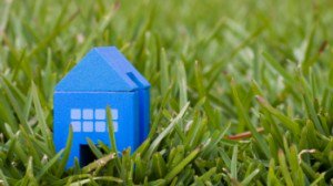 Interest.com tweet media