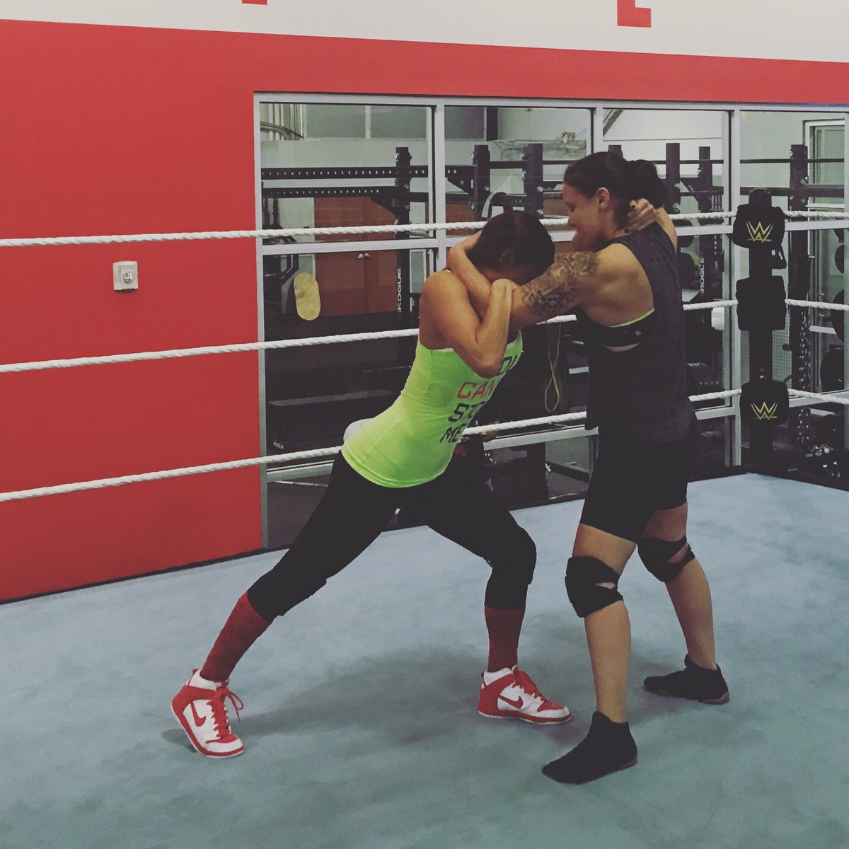 NikkiAndBrie's tweet image. So beyond happy to be able to do what I love again!! Whoever said "the impossible is possible" was damn right!😜💋💪🏽N