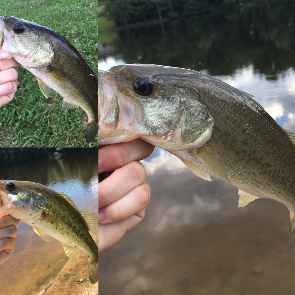 Corey Hall Outdoors tweet media