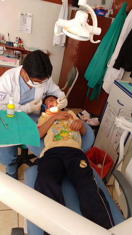 FLCachorros's tweet photo. Los menores cada cierto tiempo van al dentista para revisar sus dientes,  que valientes son😍 https://t.co/aRpZzWpBxM