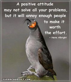 MarcotteGlass's tweet photo. #ThursdayThoughts https://t.co/4kZFWRiw1s