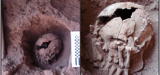 ScienceVideos's tweet photo. The Oldest Case of Decapitation in the New World

https://t.co/IFIXitDo4p https://t.co/Stlb7idSY7