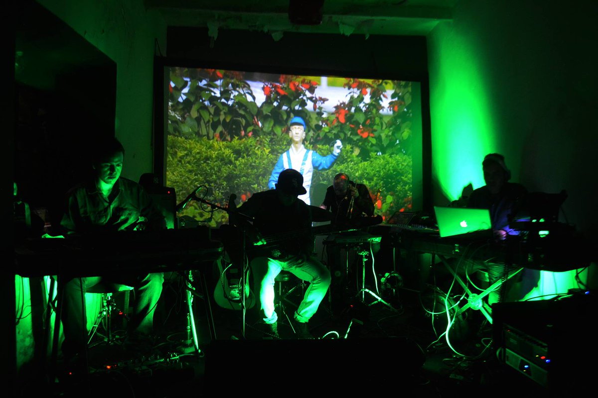 Birdhaus tweet media