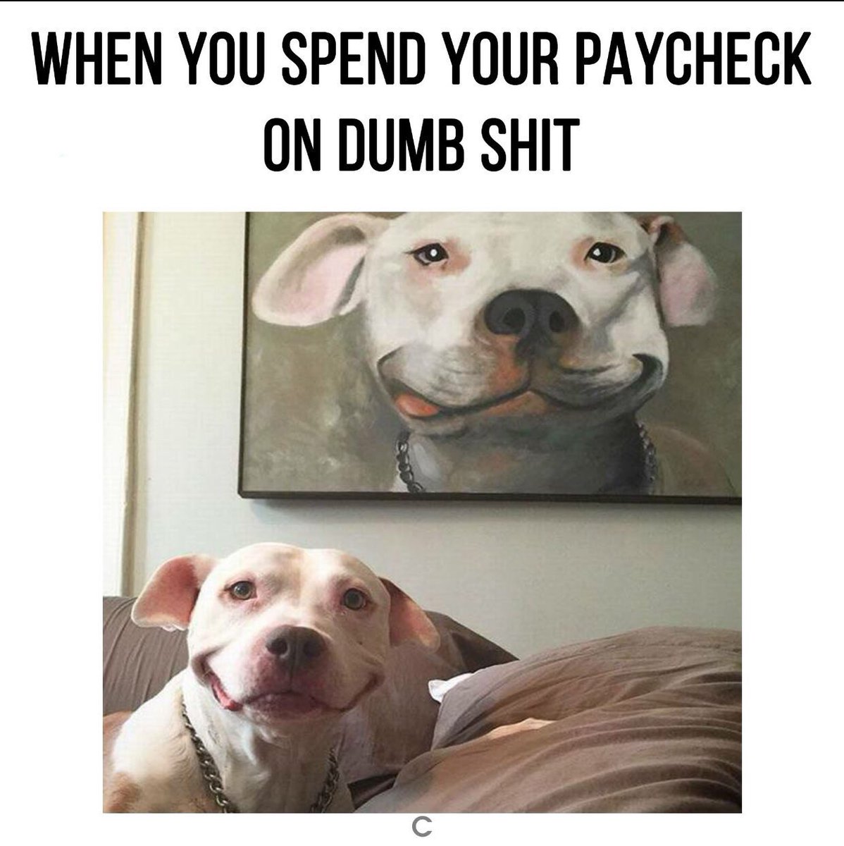 My life in a picture