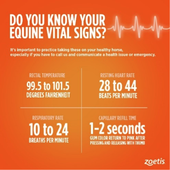 AQHA's tweet photo. Are you planning to spend the upcoming weekend riding? Be sure to know the vital signs of a healthy horse! @Zoetis https://t.co/f1kvVLTSgQ
