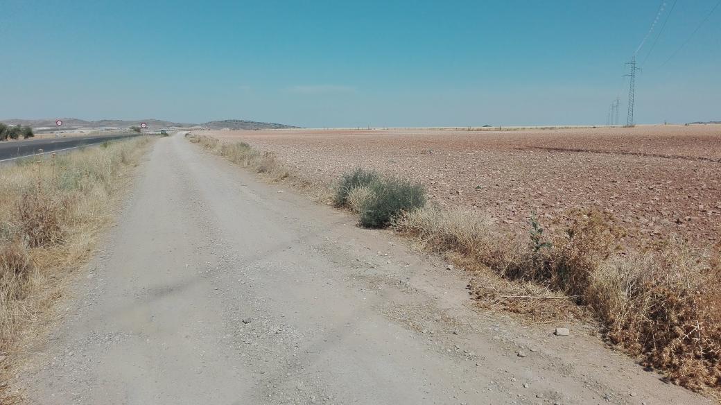 Quinta etapa y ecuador sobre el papel de nuestro Camino #DeEsteAOeste #ValenciaMérida. Hoy llegamos a Mora (85kms)