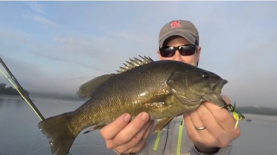 FieldandStream's tweet photo. New #HookShots: Susquehanna Smallie Fly Marathon https://t.co/dCGx3iB4W4 #bass #fishing #smallmouth https://t.co/yPpS6hC6xw