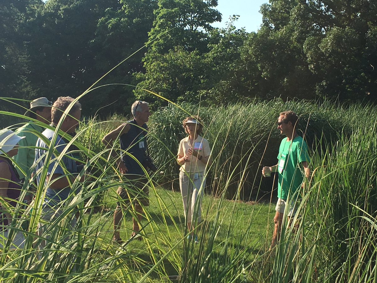 GrassSolutions's tweet photo. Can't wait to hear @marygrasses speaking about national grasses trials at #ppamn. Saw grasses yesterday! https://t.co/D33DrIZmHd