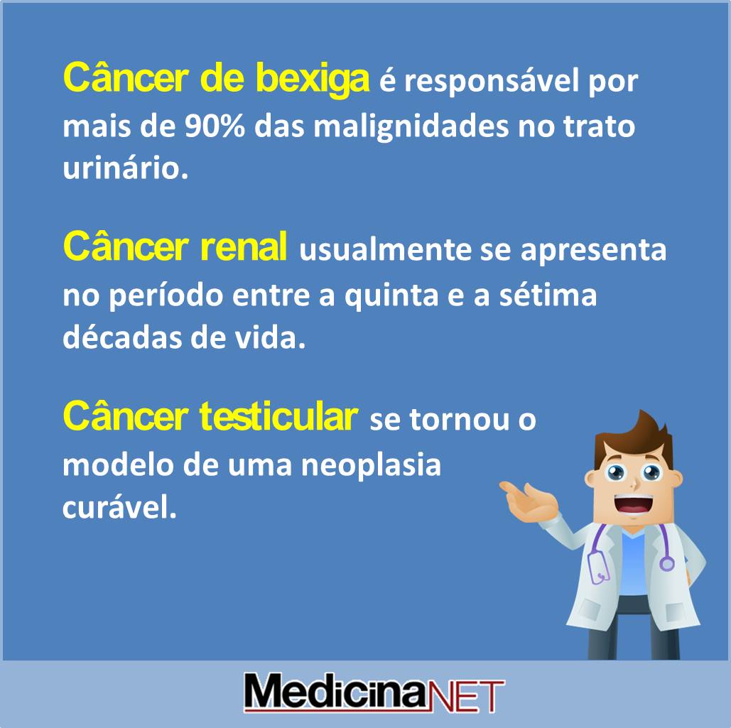 P MedicinaNET