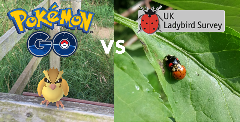TomAugust85's tweet photo. #PokemonGo players could capture entire data holdings of @GBIF in 6 days. https://t.co/ymek2dreQh @rdmpage https://t.co/TqXxS9TTyP
