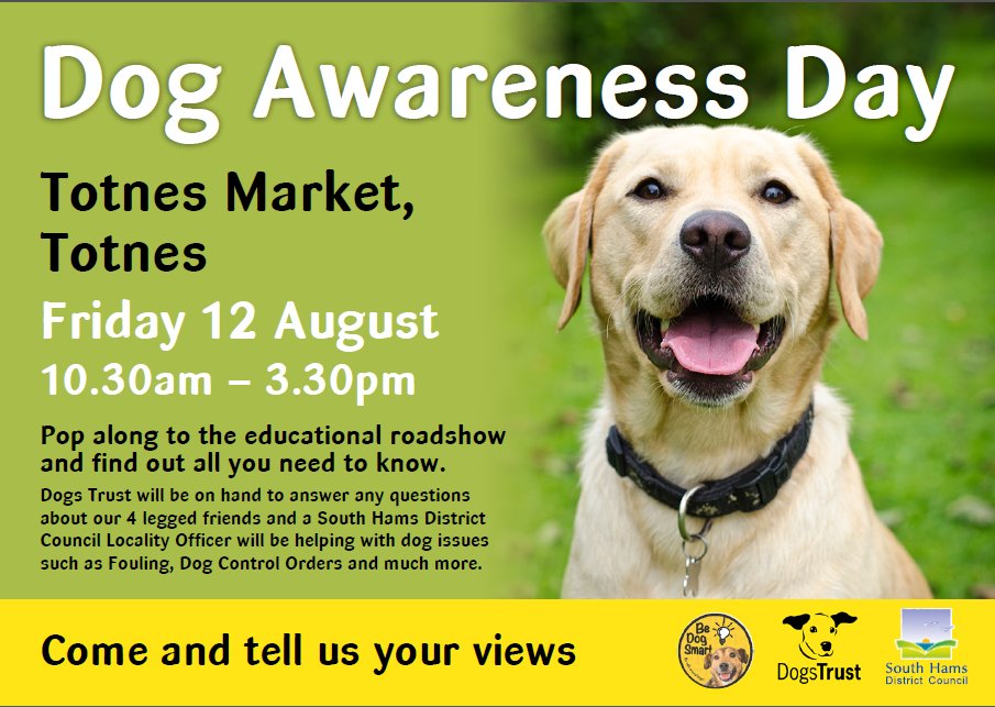 It's all about the #dogs! We've teamed up with <a href="/DogsTrust/">Dogs Trust 💛🐶</a> for dog awareness days. Join us on 12 August to talk dogs.