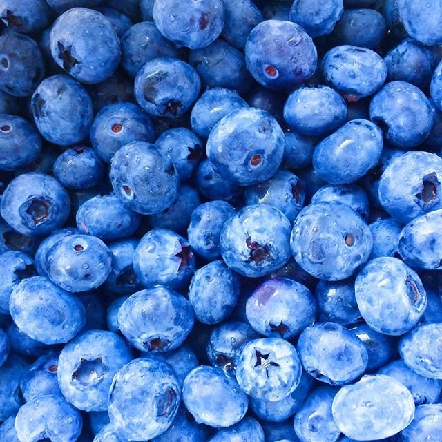 vegansvancouver's tweet photo. SUMMERTIME PERKS IN BC 💦 : @sammyboycebal #VEGANSOFVANCOUVER https://t.co/OjYETr1ZO7