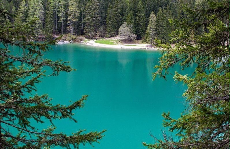 iwantitsofbad's tweet image. Into nature.