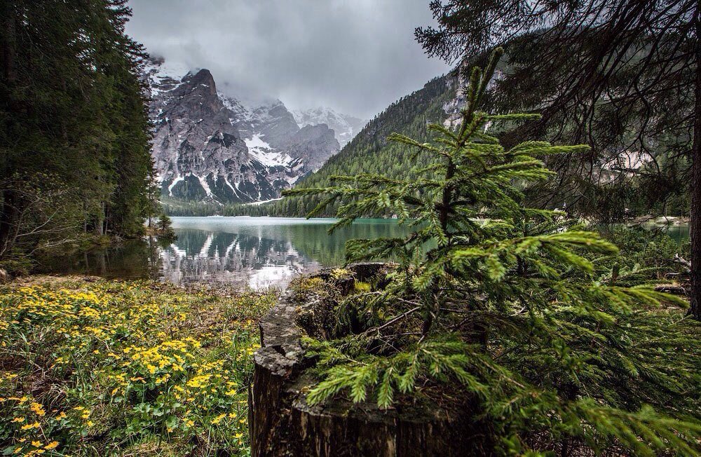 iwantitsofbad's tweet image. Into nature.