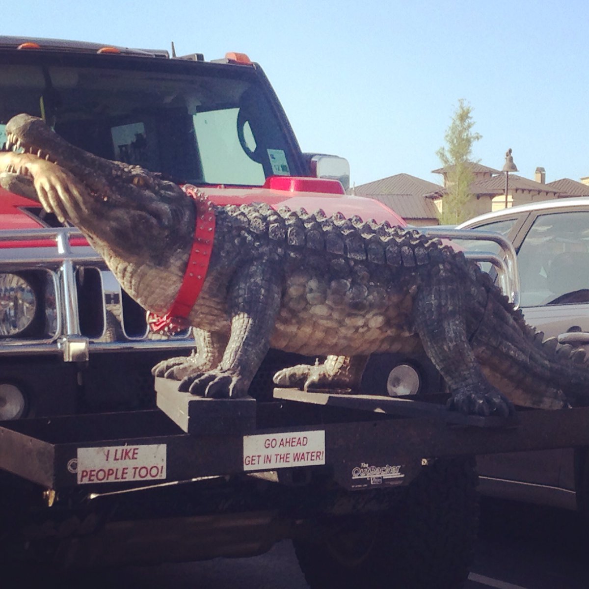 SB_Thompson's tweet photo. Oh Tulsa. Pumped I came across this today. 😂 #hospitalparkinglot #seeyalateralligator #afterwhilecrocodile #EekMYARM https://t.co/fwg5U914l4