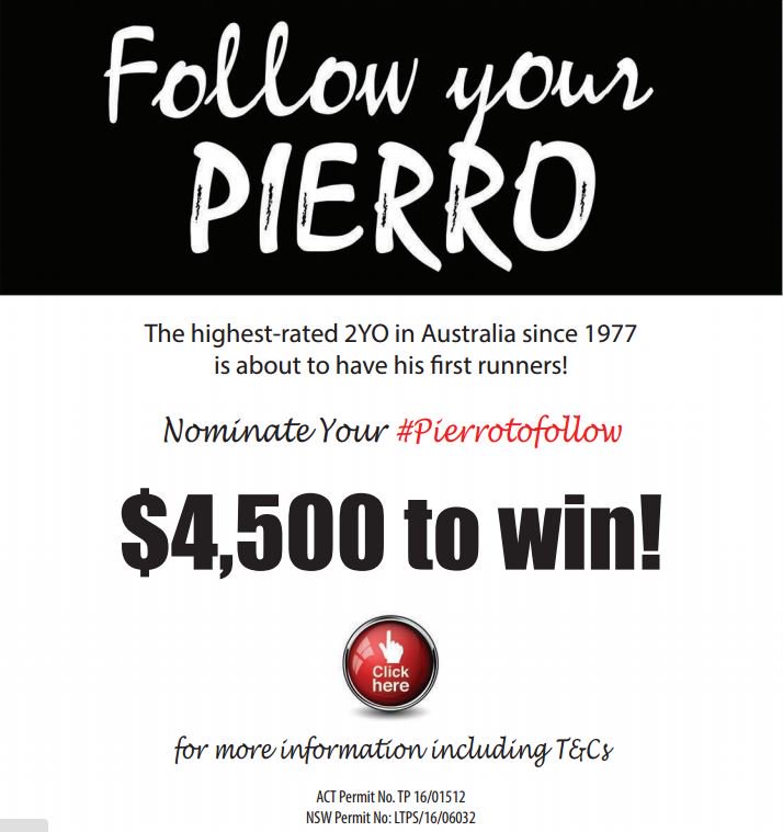 CoolmoreAus's tweet photo. Who will be your #Pierrotofollow - Click here to learn more - https://t.co/cvz6vzvKfz https://t.co/9FhA66xPRk