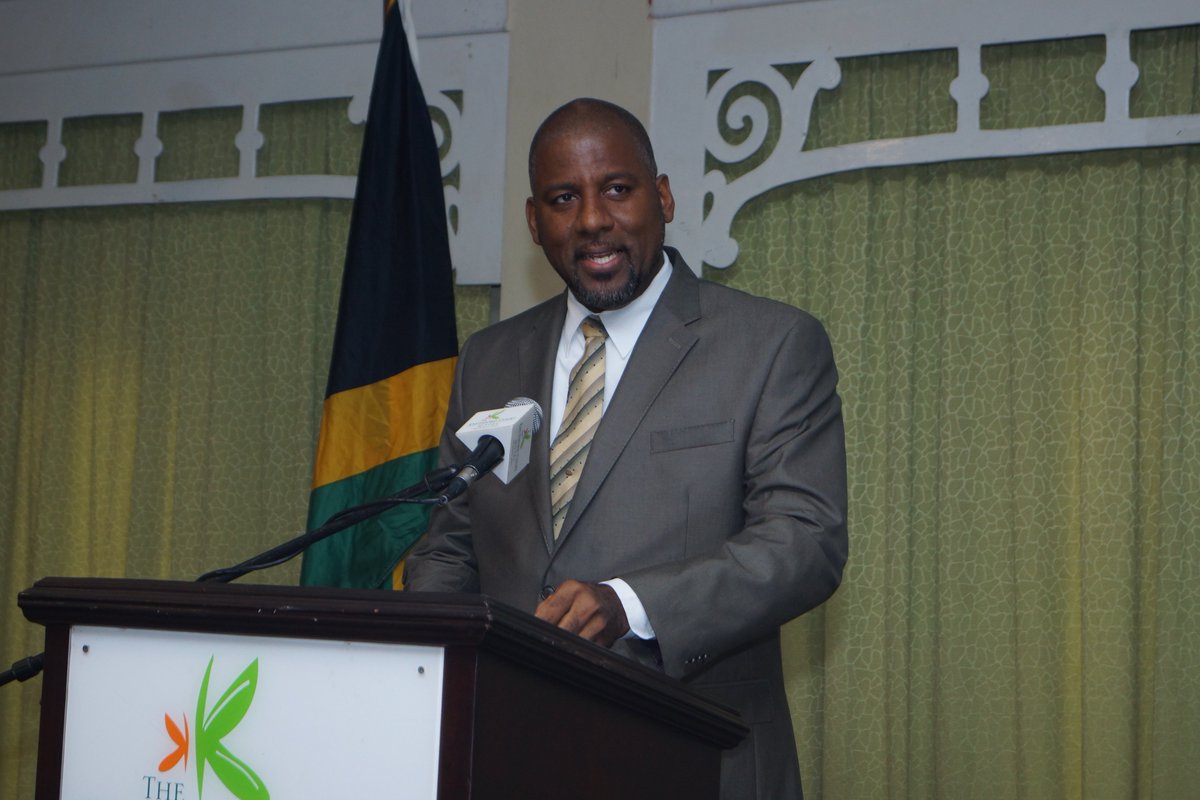 UNJamaica's tweet photo. VIDEO:Dr Henry of #PIOJ @ndp_2030 welcomes #UNMSDF Implementation Planning Process #SDG17 https://t.co/jLotDEWUWj https://t.co/zJZ2ALS67A