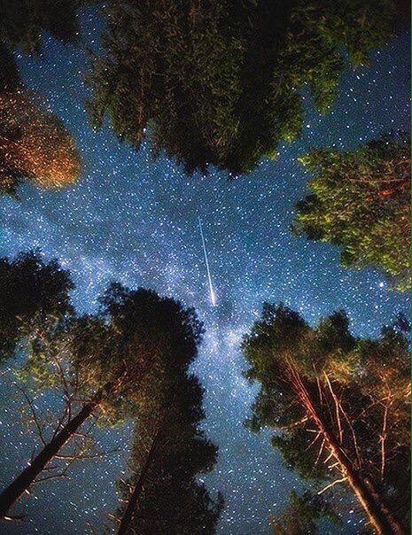 iwantitsofbad's tweet image. Obsessed with the stars.