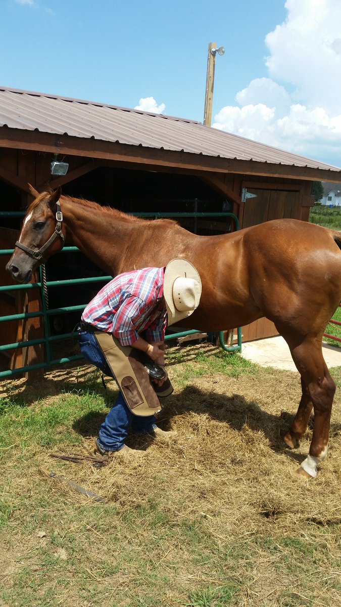 TyeSturgeon48's tweet photo. It has been a great day in Arkansas.  #tyesturgeon #cowboylife #GettingWestern #evilCowboyhotsauce https://t.co/NDWvHEASRo