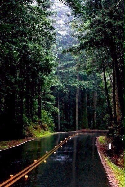 iwantitsofbad's tweet image. The world is a book, and those who don't travel read only a page.