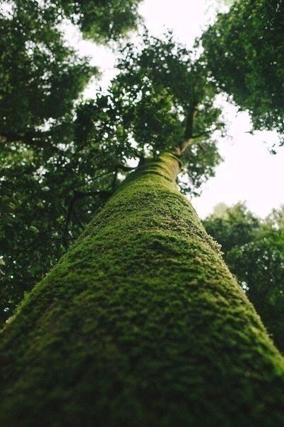 iwantitsofbad's tweet image. The world is a book, and those who don't travel read only a page.