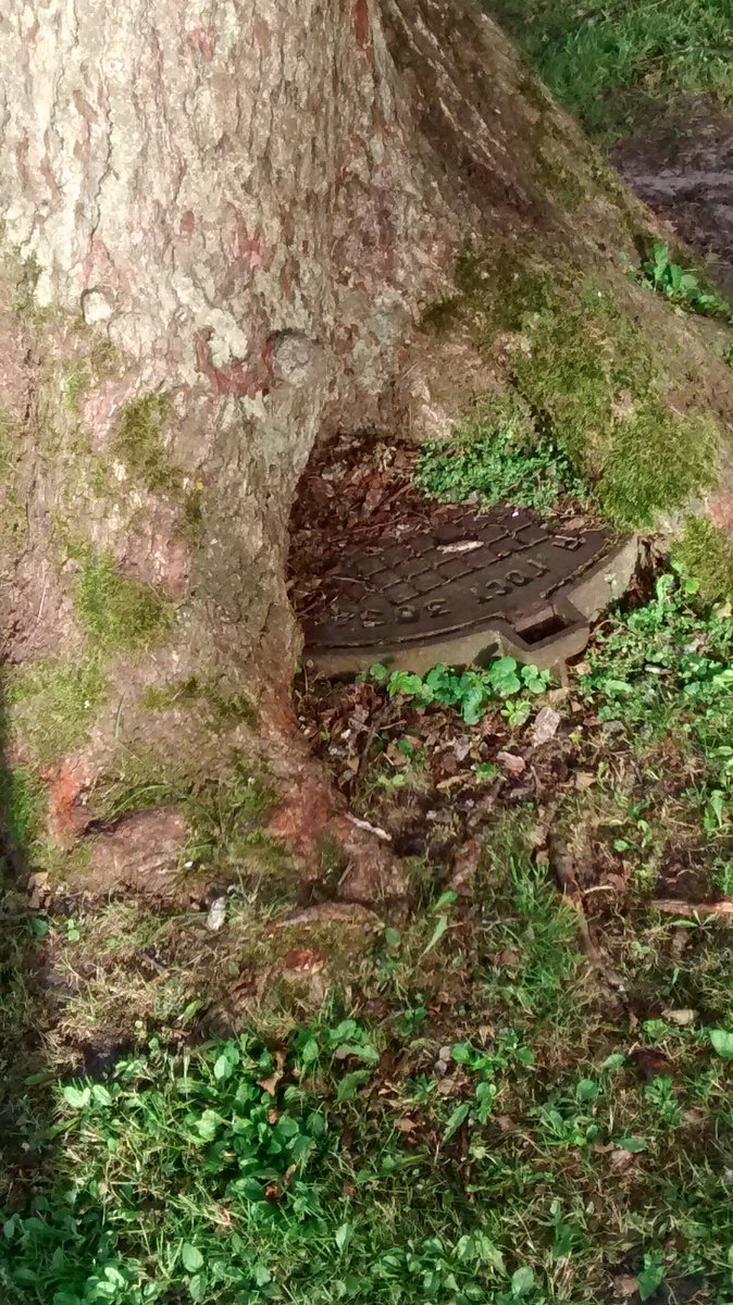 Dabas un cilvēka mijiedarbība.pie Mellužu estrādes Jūrmalā. P.S. Laba pokemonu ķeršanas vieta.