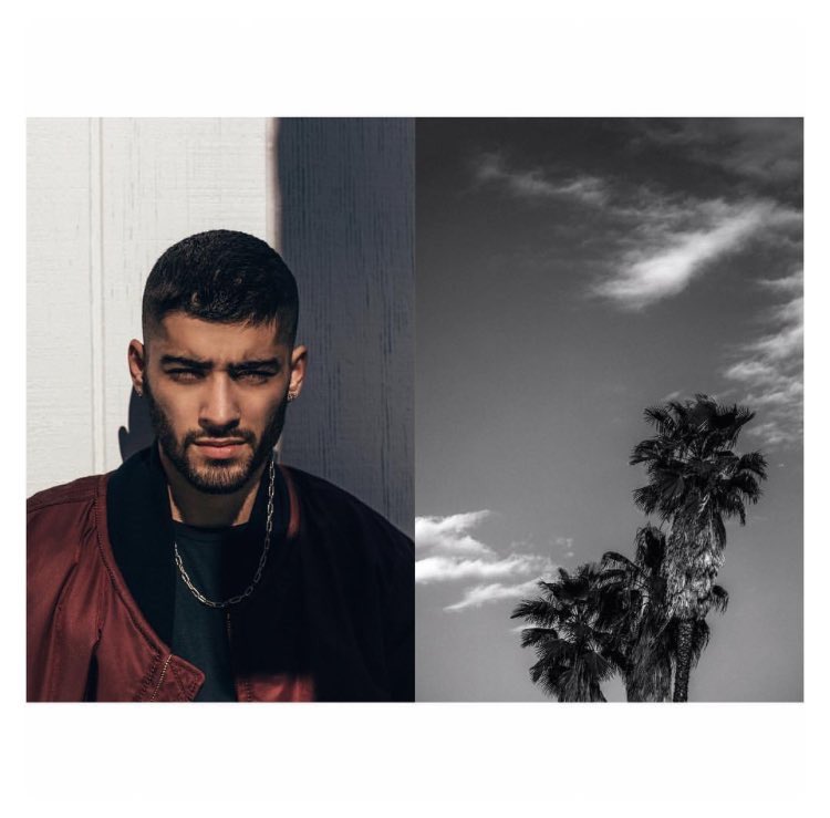 _ZiGiUpdates_'s tweet photo. #IG | itsdwallace: 🌴 @zaynmalik #ELLExZayn #SeptemberElle https://t.co/8pFfG5TkWR