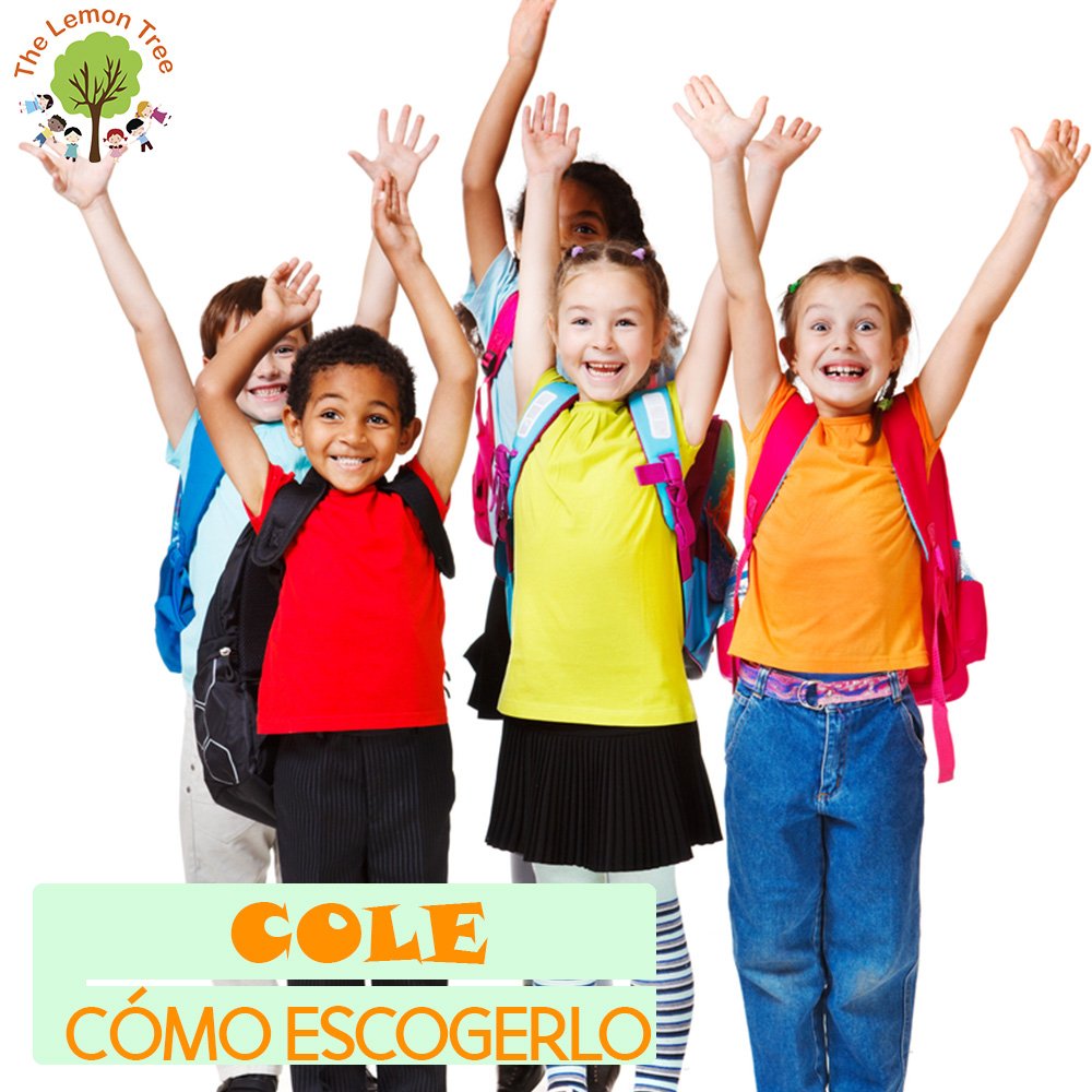TheLemonTreepty's tweet photo. Es recomendable apostar por una propuesta educativa individualizada desde estas edades tempranas. https://t.co/gQrsY5fhI5
