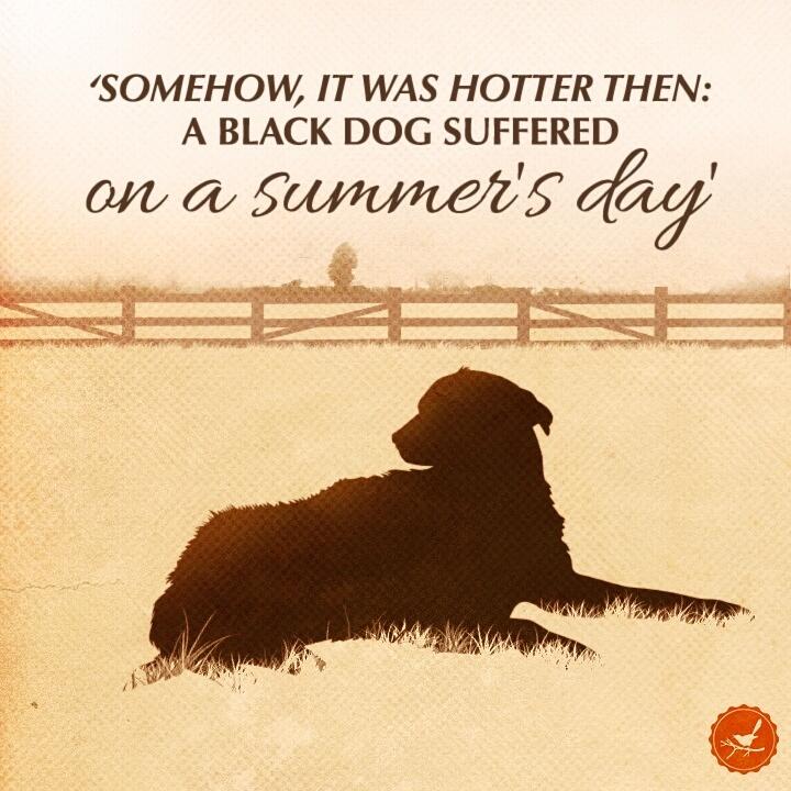 GSAWatchmanBook's tweet photo. The summers of Scout's childhood were long, hot and filled with adventure. https://t.co/eiEki8jdY1
