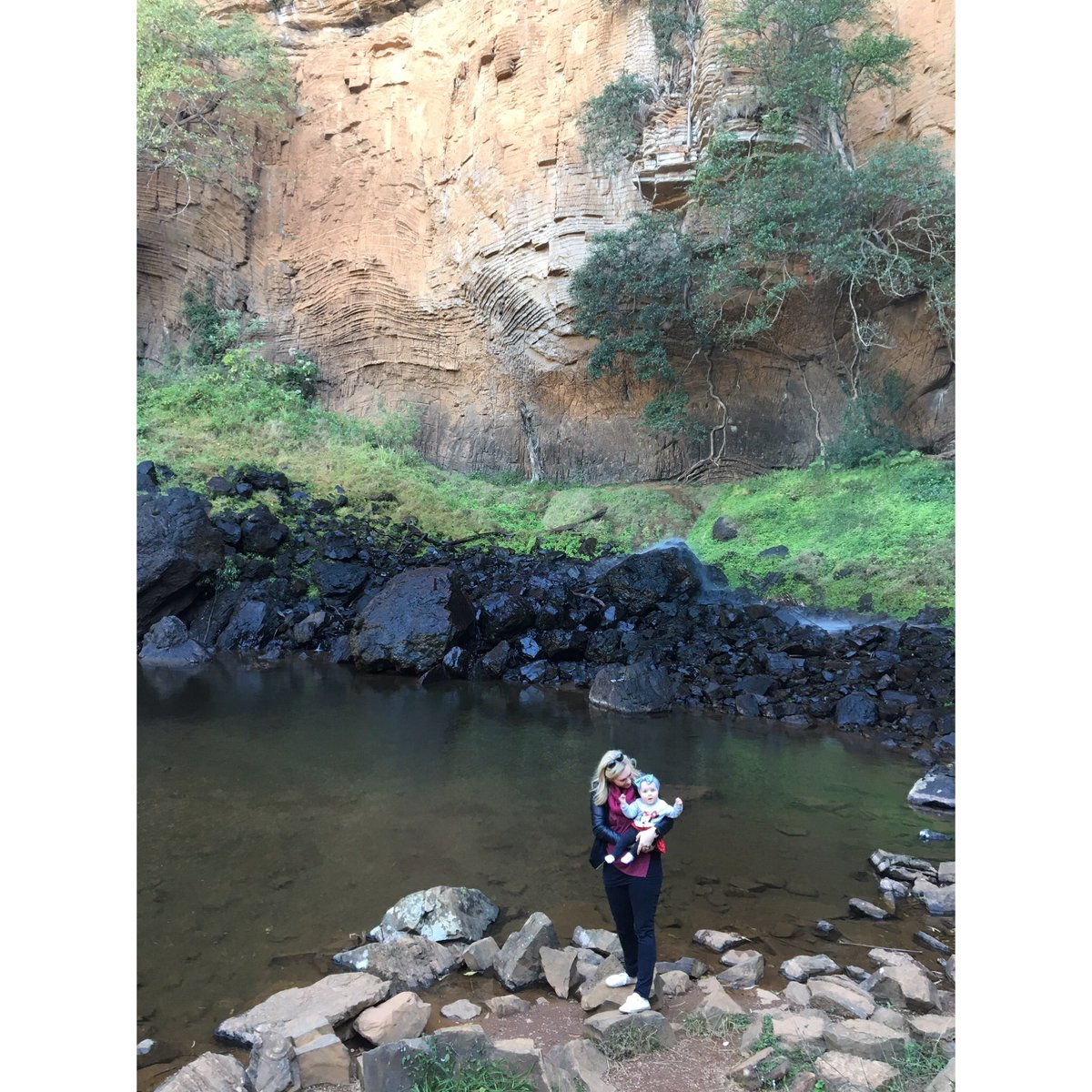 Anders_Orkes's tweet photo. Ons bly darem maar in 'n mooi land! #sabie #Lydenburg #optree https://t.co/XSgXv7n0ee