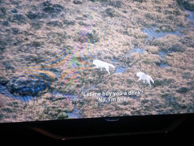 Laur_Katz's tweet photo. Netflix glitch broadcasts @azizansari subtitles over a nature show. The result is amazing: https://t.co/S9sb89itR9 https://t.co/rp5XnUj1EW