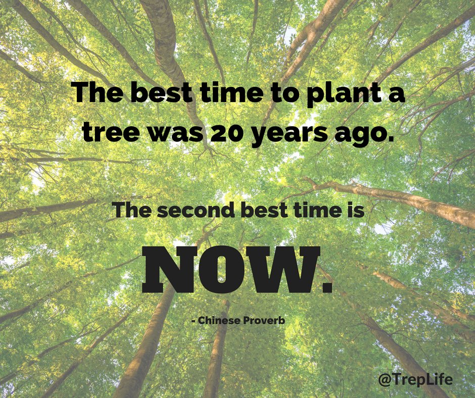 Trep Life tweet media