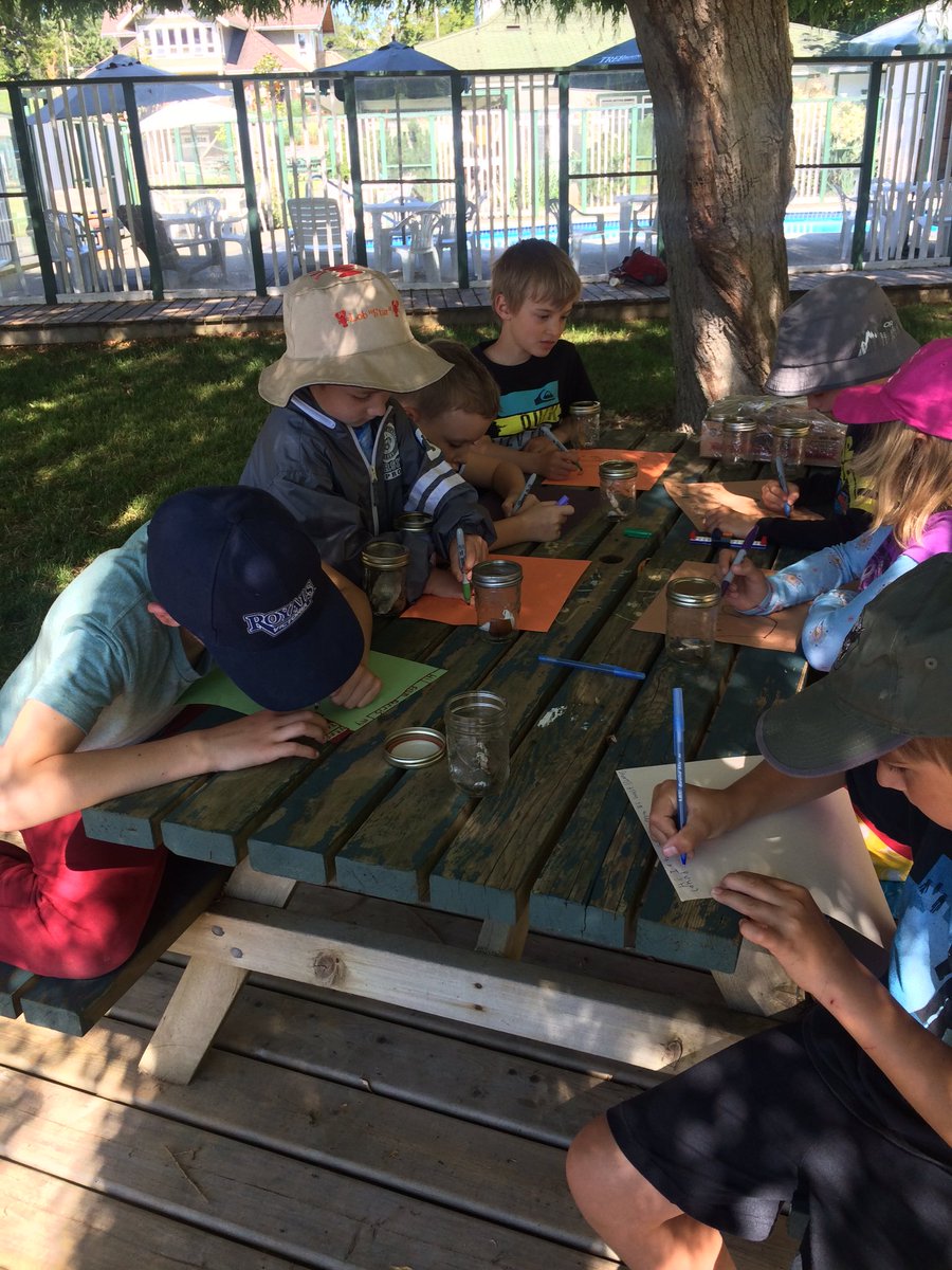 dog_mermaid's tweet photo. Kids camps start up again next week!
Contact us for more information. #kayaking #kids #paddlecanada #penderisland https://t.co/0KCEaIQjhJ