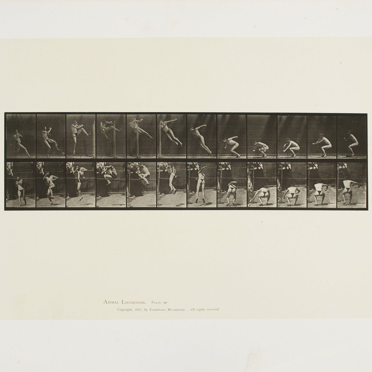 National Gallery of Canada tweet media