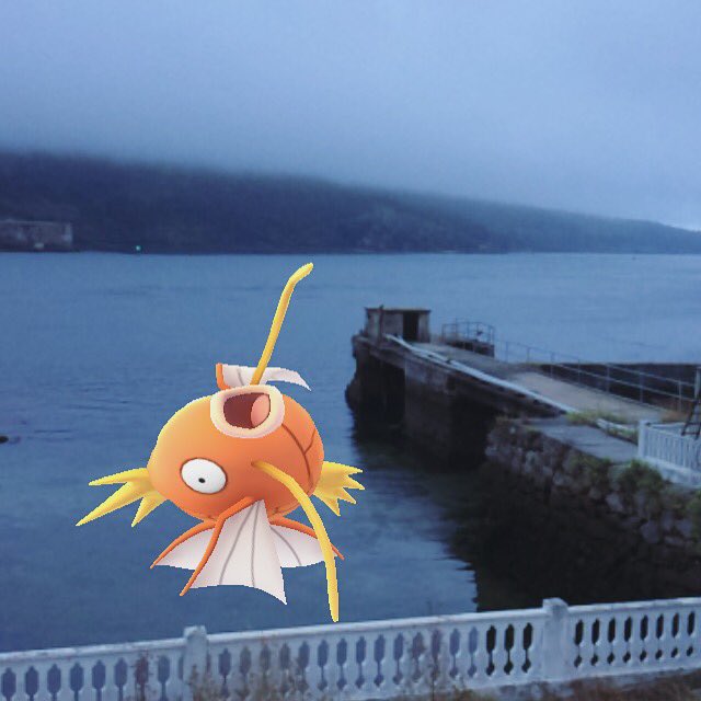 ZgzPokemonGo's tweet photo. #Pokémañíacos ! No sabemos si estamos en el Cantábrico o en el Ártico ni #Magikarp aguanta la rasquica #pokemongo https://t.co/y9FM23FH21